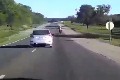 Video: un conductor, aparentemente ebrio, arriesga su vida en la ruta 9