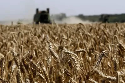 Productores rurales piden la restitución de la emergencia