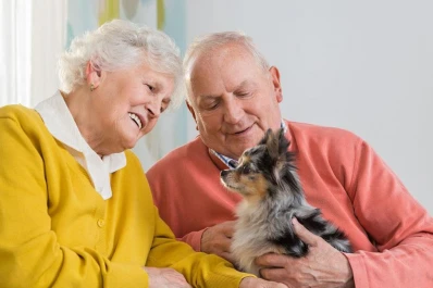 Adoptar una mascota en la tercera edad mejora la calidad de vida