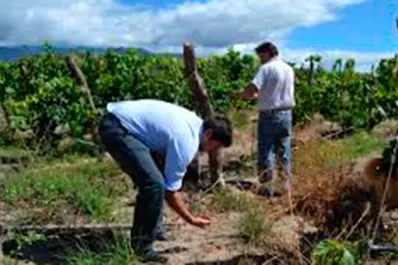 Estudia en Colalao del Valle y fue condecorado en Mendoza por sus vinos caseros