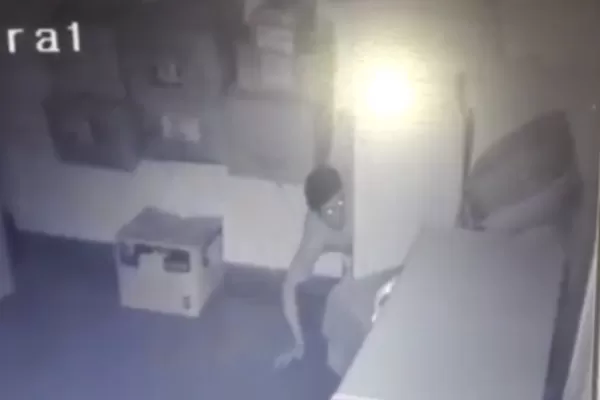 Robó en una heladería, quedó registrado y luego pasó a preguntar si era cierto lo del robo
