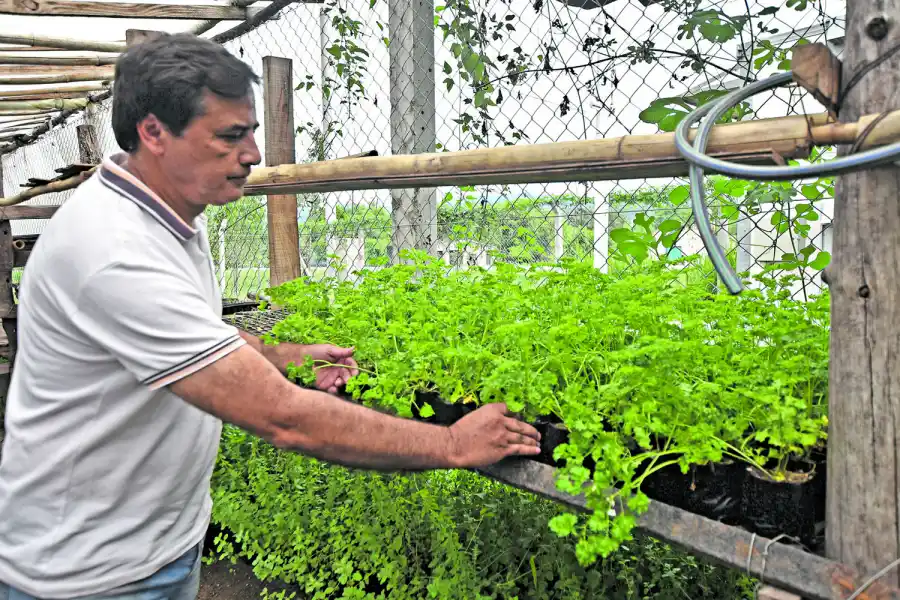 TIERRA GENEROSA. Los huerteros afirman que todo lo que se planta da resultados. Lo mejor es que se trata de verduras orgánicas.