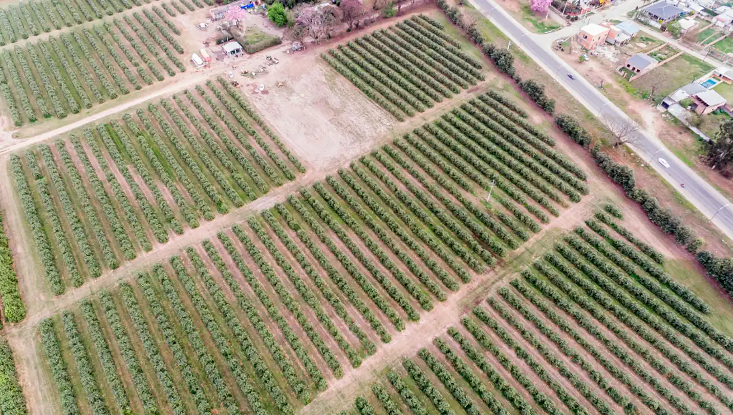 PREDIO DE SAN ANDRÉS. La primera etapa estaría concluida a principios de 2019.