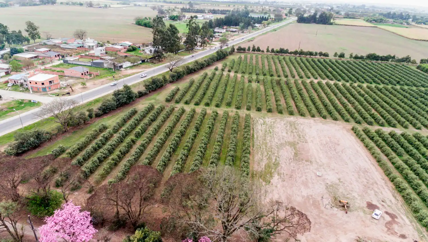 PREDIO DE SAN ANDRÉS. Se accede por la ruta 306, a la altura del complejo de UTA.