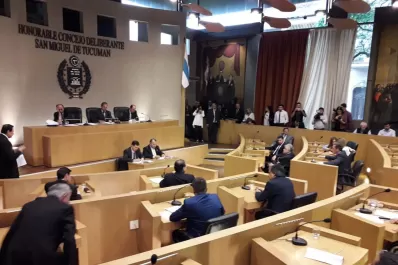 Pagaron $ 20 millones en honorarios, pero no sabemos a quién, dijo Cortalezzi