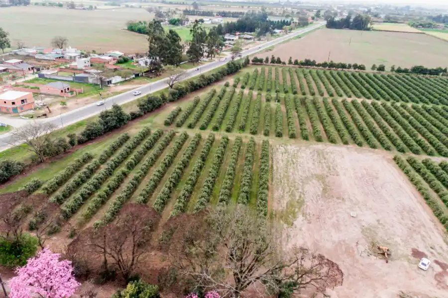 PREDIO DE SAN ANDRÉS. Se accede por la ruta 306, a la altura del complejo de UTA.