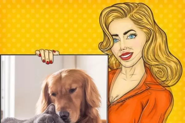 Las niñeras de mascotas, el nuevo servicio que gana terreno en Tucumán