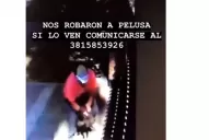 Video: así robaron una perrita de una casa en Yerba buena
