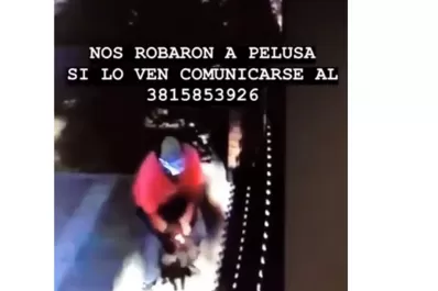Video: así robaron una perrita de una casa en Yerba buena