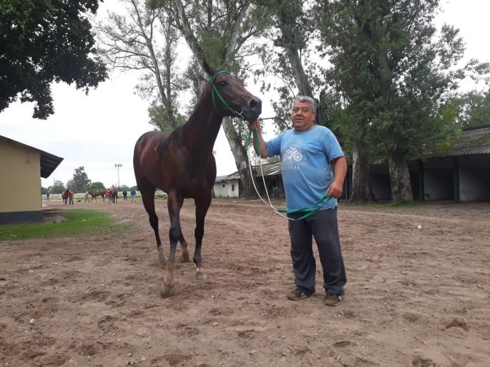 MULTIFUNCIONAL. Juan José Monteros, que lleva cuatro décadas en el hipódromo, es capataz, peón y “peluquero” de los caballos. la gaceta / foto de carlos gustavo chirino