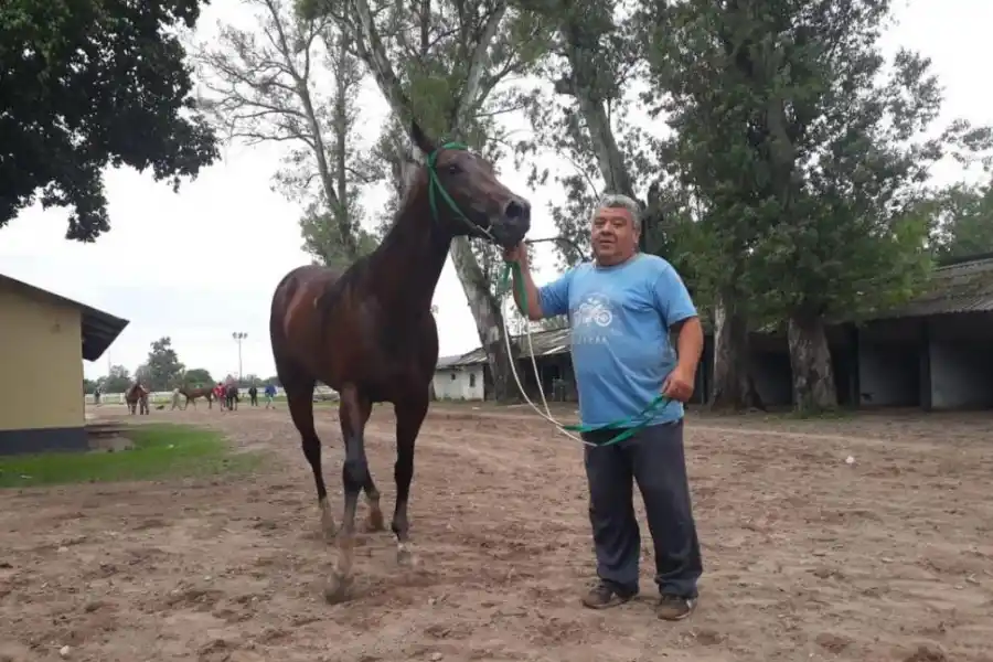 MULTIFUNCIONAL. Juan José Monteros, que lleva cuatro décadas en el hipódromo, es capataz, peón y “peluquero” de los caballos. la gaceta / foto de carlos gustavo chirino