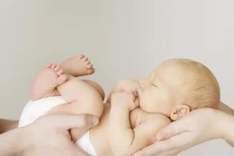 1 Ovocito inicial recién donado.