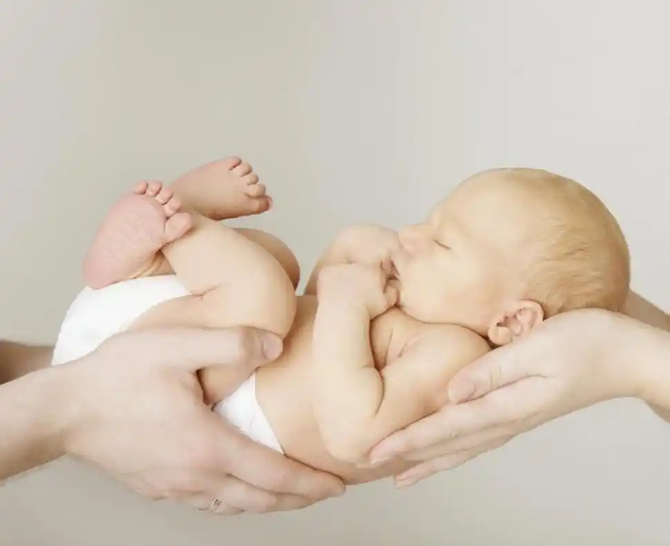 1 Ovocito inicial recién donado.