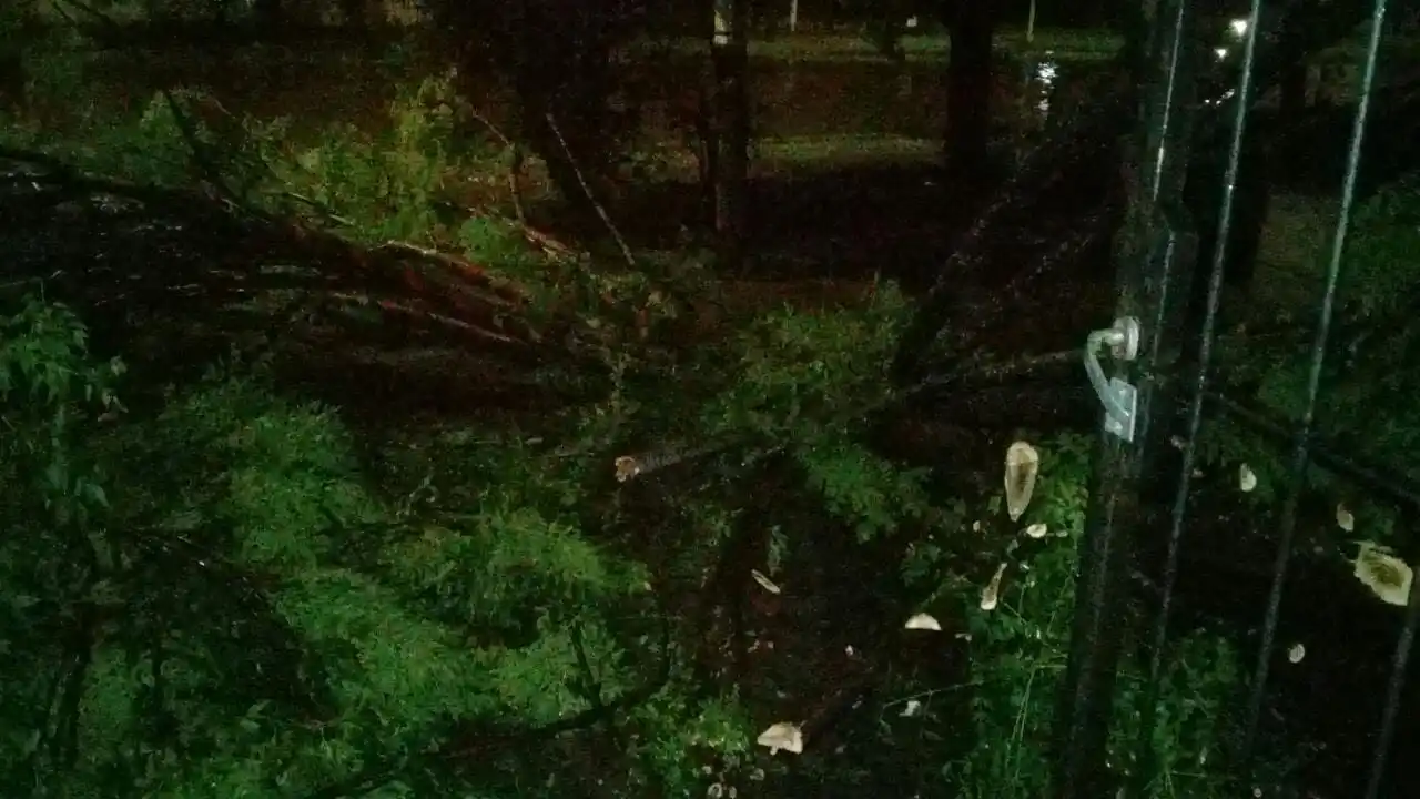 Avenida Jujuy al 4.000