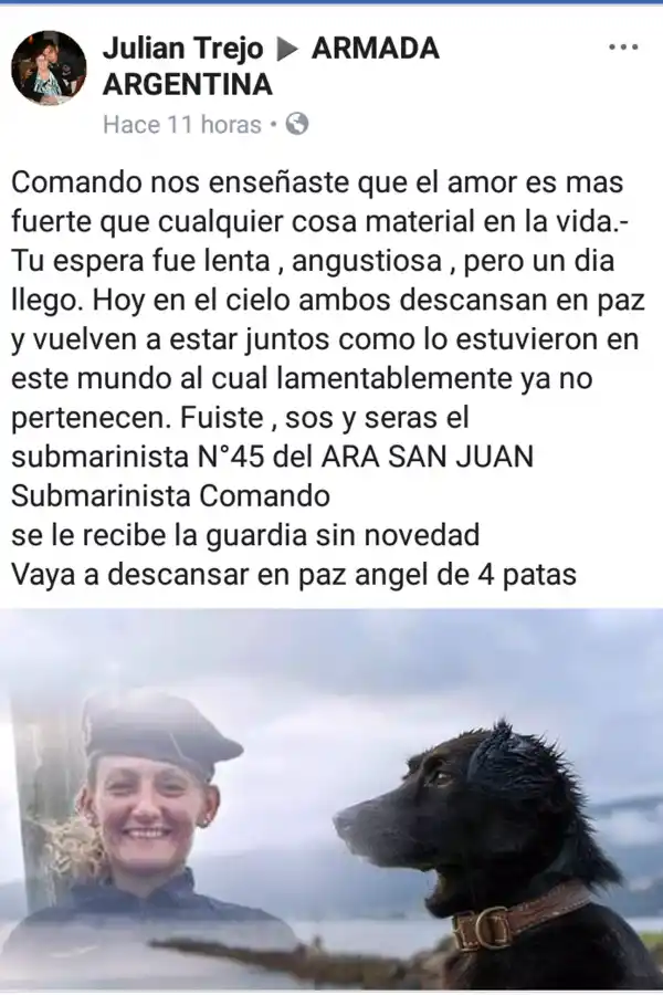Murió Comando, el perro de la Armada que cuidaba la única mujer a bordo del ARA San Juan