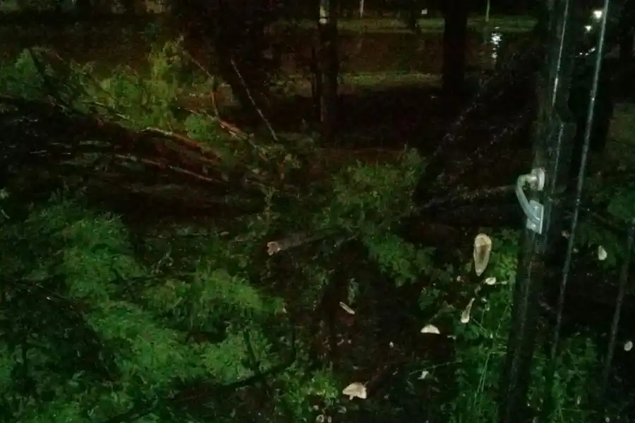 Avenida Jujuy al 4.000