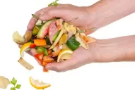 Sin desperdicio: el trash cooking o el arte de cocinar con restos