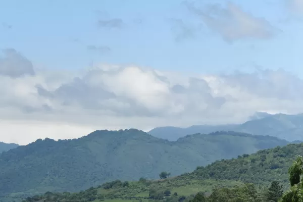 Hubo robos en 35 casas de veraneantes y hasta en la propia delegación comunal de Raco