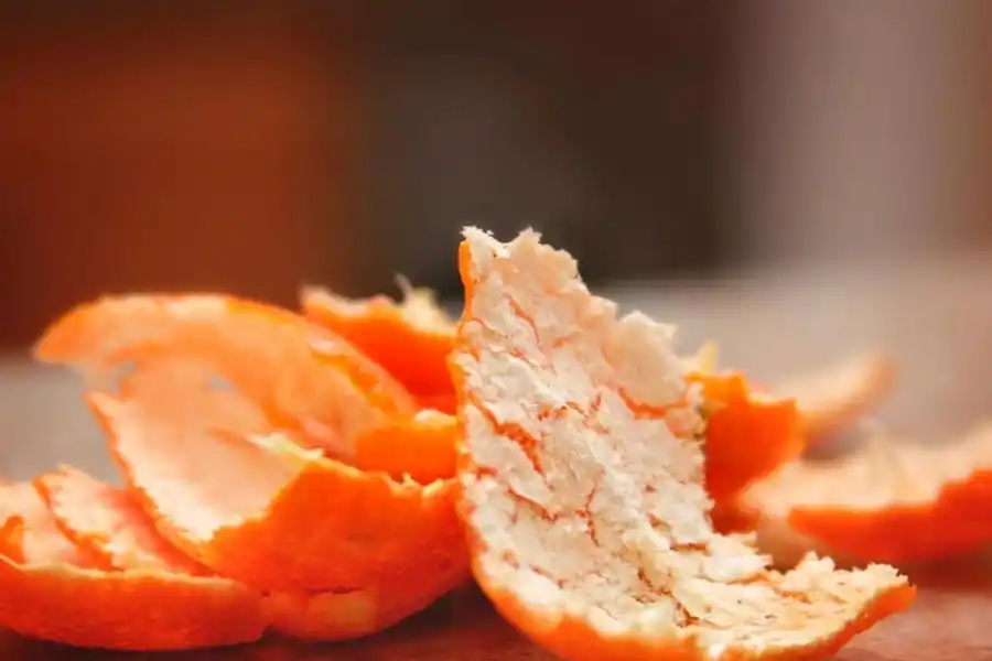 Sin desperdicio: el trash cooking o el arte de cocinar con restos