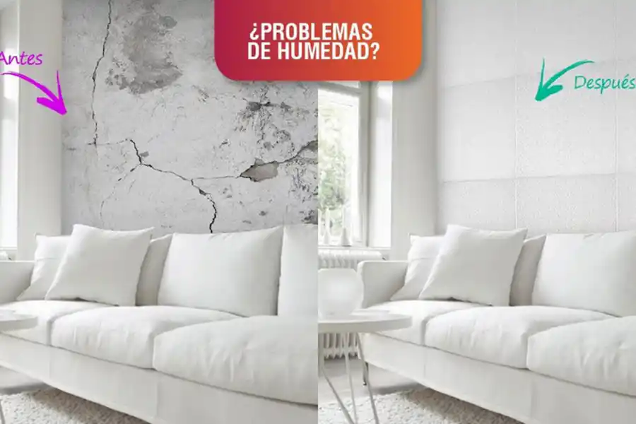 “Con Blotting pasamos las fiestas en casa, aprovecha un 30% off! y decile chau a la humedad”