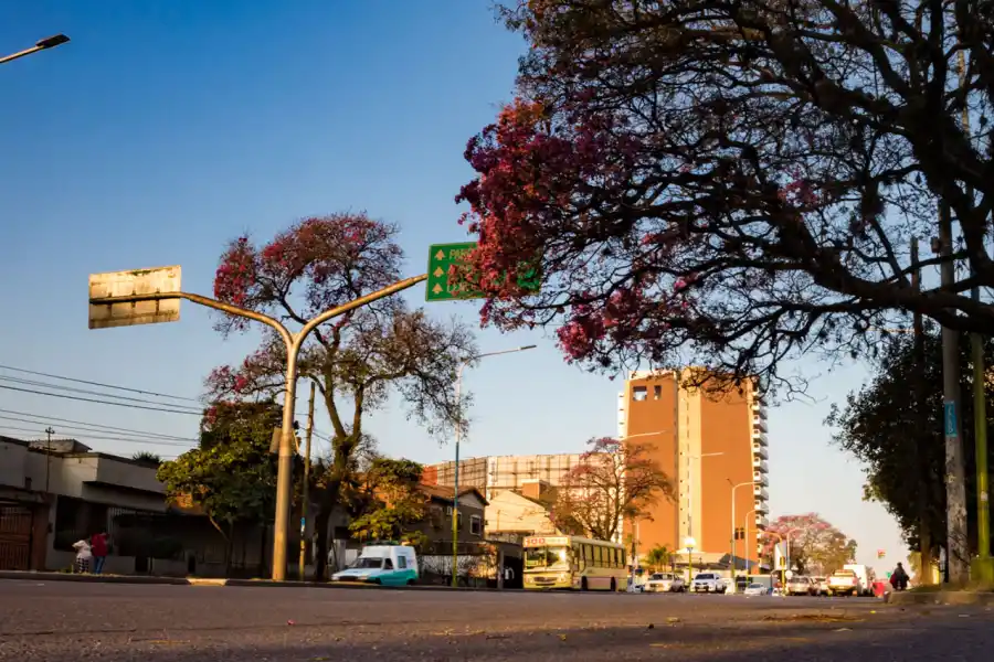 Edificios y espacios verdes, una combinación que convierte a la Mate de Luna en un punto estratégico para vivir e invertir