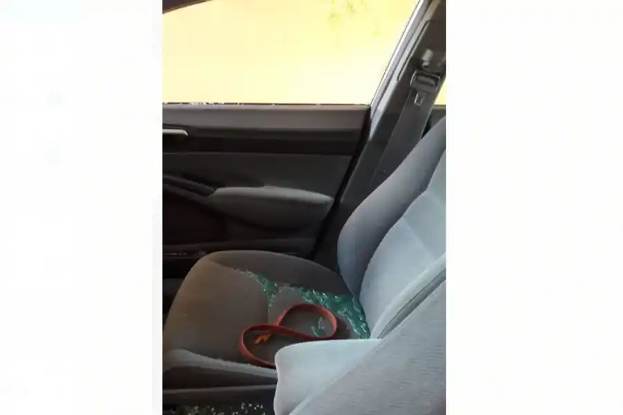 Video: lo atacaron rompevidrios en el estacionamiento de una veterinaria 