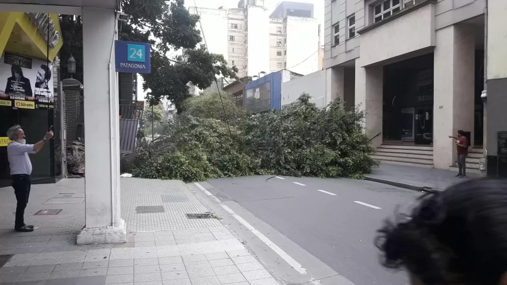 Calles cortadas, árboles caídos y techos derribados por el fuerte viento