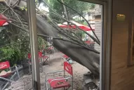 Impactante: así quedó Tucumán por las fuertes ráfagas de viento 