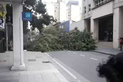 Calles cortadas, árboles caídos y techos derribados por el fuerte viento