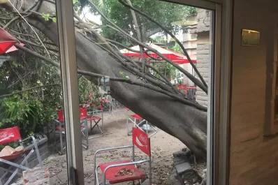 Impactante: así quedó Tucumán por las fuertes ráfagas de viento