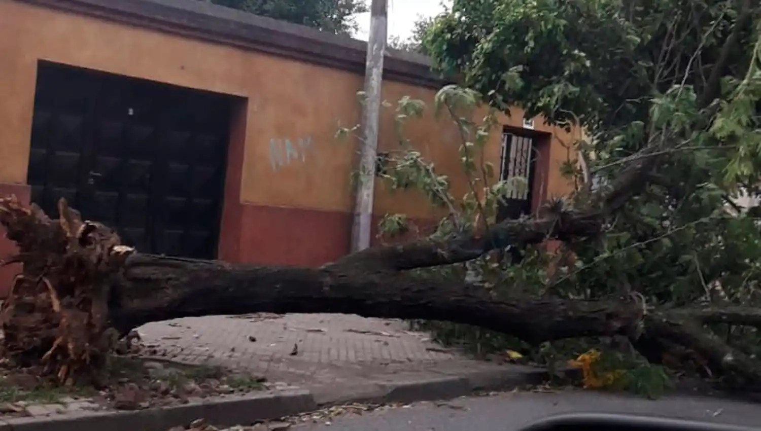 FUERTES VIENTOS. Marco Avellaneda al 400.