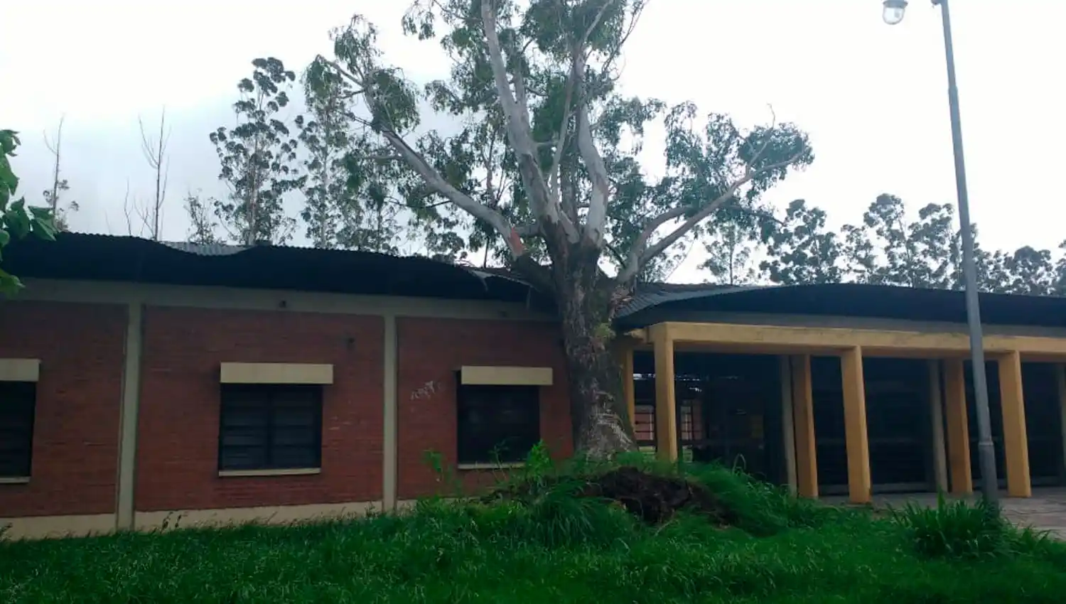 TEMPORAL. Escuela Benjamín Matienzo.