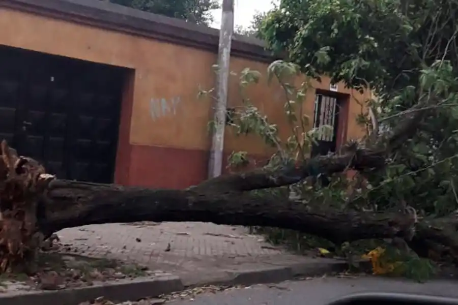 FUERTES VIENTOS. Marco Avellaneda al 400.