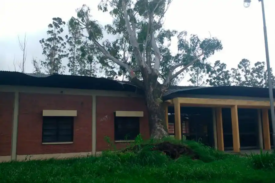 TEMPORAL. Escuela Benjamín Matienzo.