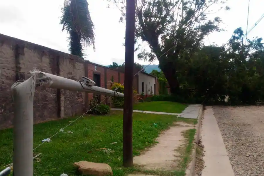 VIENTO. Poste de luz y árbol caído en Higueritas al 1.600, Yerba Buena.