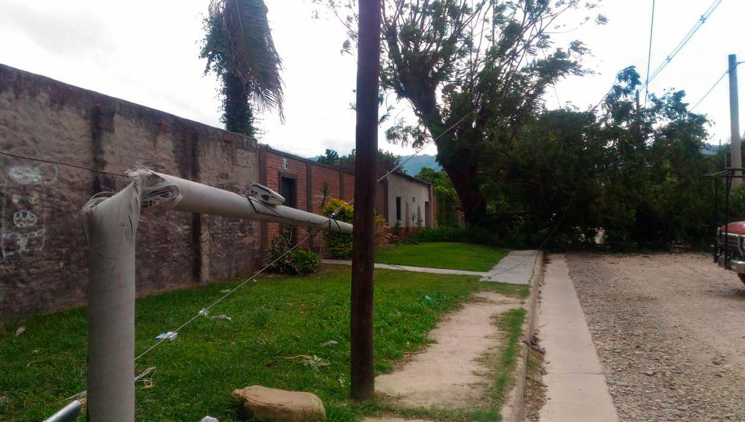 VIENTO. Poste de luz y árbol caído en Higueritas al 1.600, Yerba Buena.
