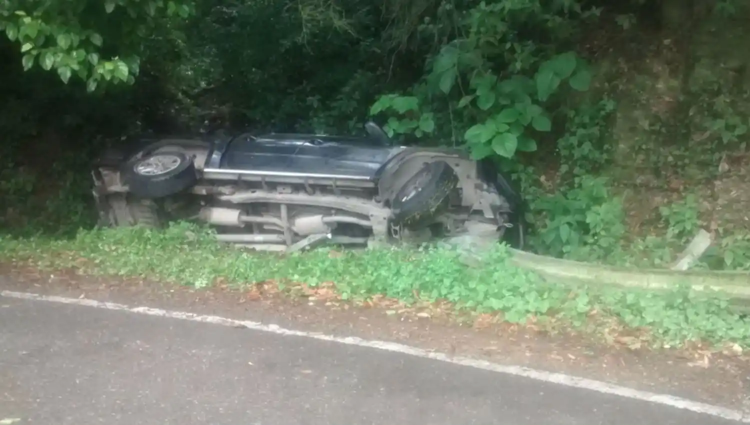 IMAGEN GENTILEZA / LUIS ALBORNOZ