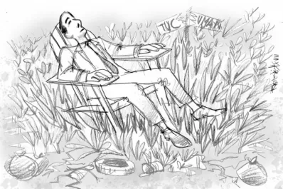 En Tucumán la maleza crece sola