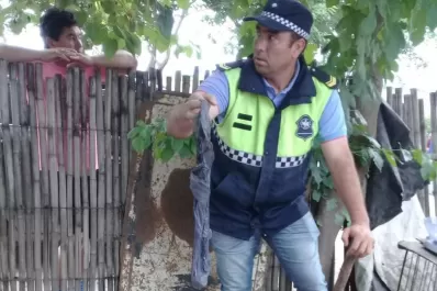 Enterró bolsas con dinero y drogas en el fondo de su casa