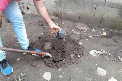 Cinco noticias que tenés que conocer durante la mañana