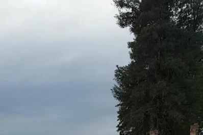 Molina tuvo un andar demoledor en Las Moritas