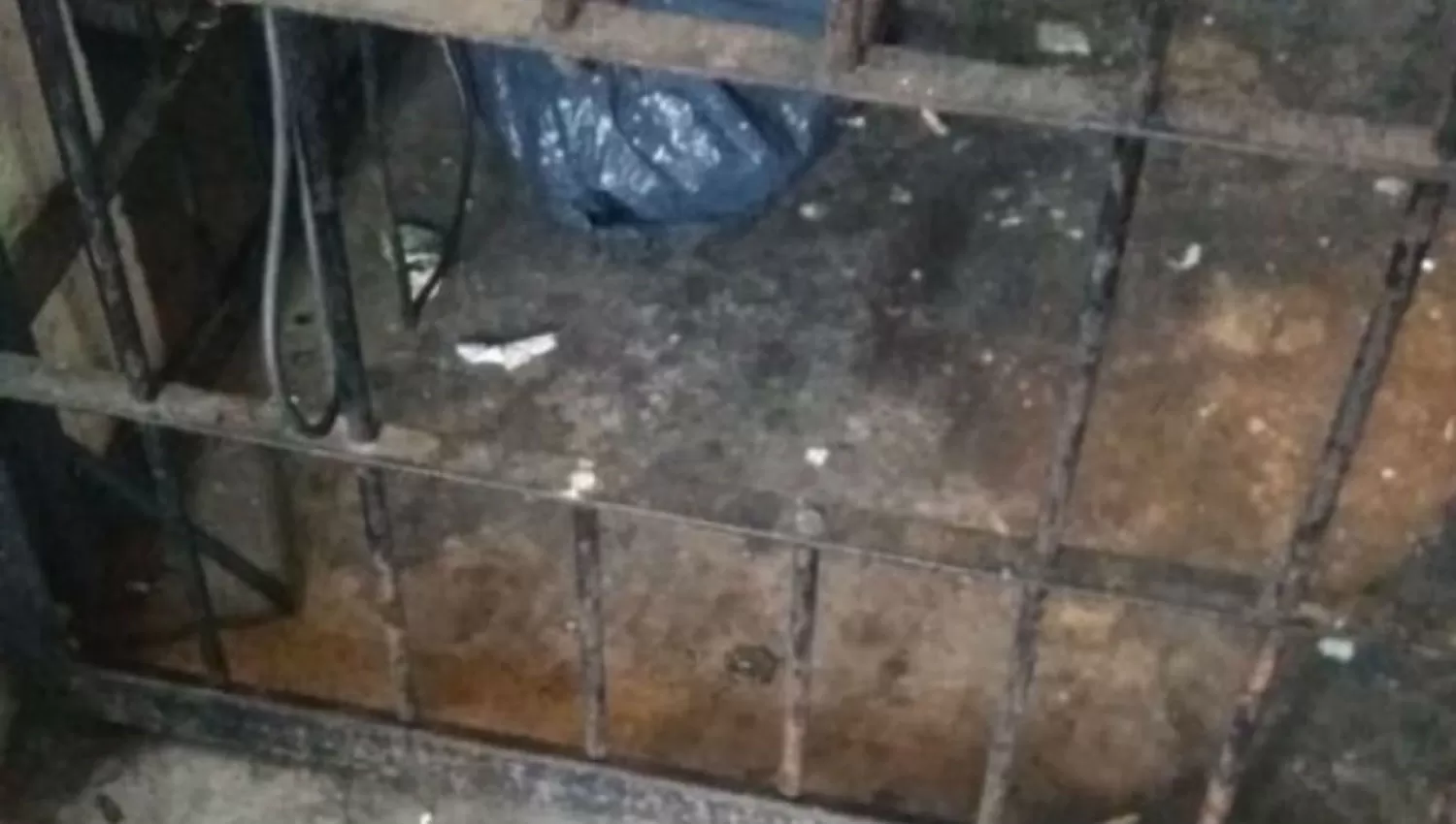Fuga en la comisaría de Villa Mariano Moreno: limaron los barrotes para escapar 