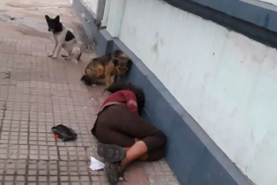 Deambula por la calle y duerme junto a los perros: nadie se ocupa de ella