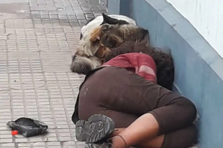 Deambula por la calle y duerme junto a los perros: nadie se ocupa de ella