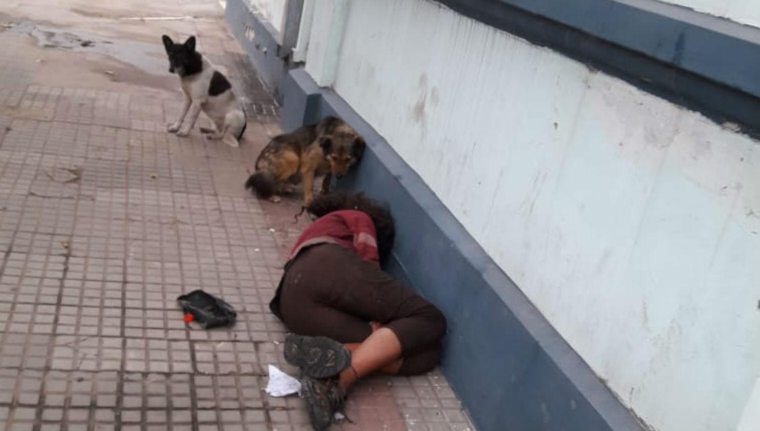 Deambula por la calle y duerme junto a los perros: nadie se ocupa de ella