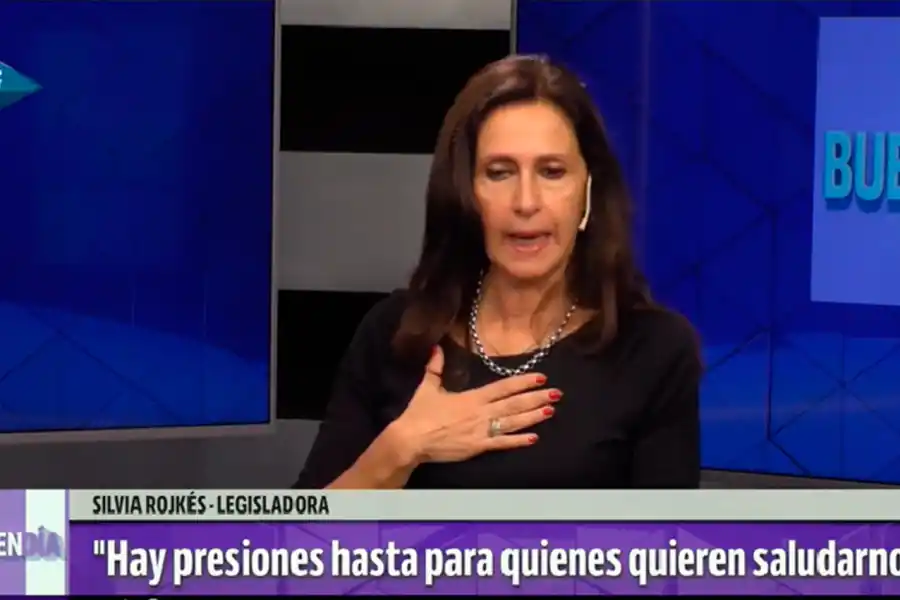 La legisladora Rojkés denuncia que hay presiones contra los alperovichistas