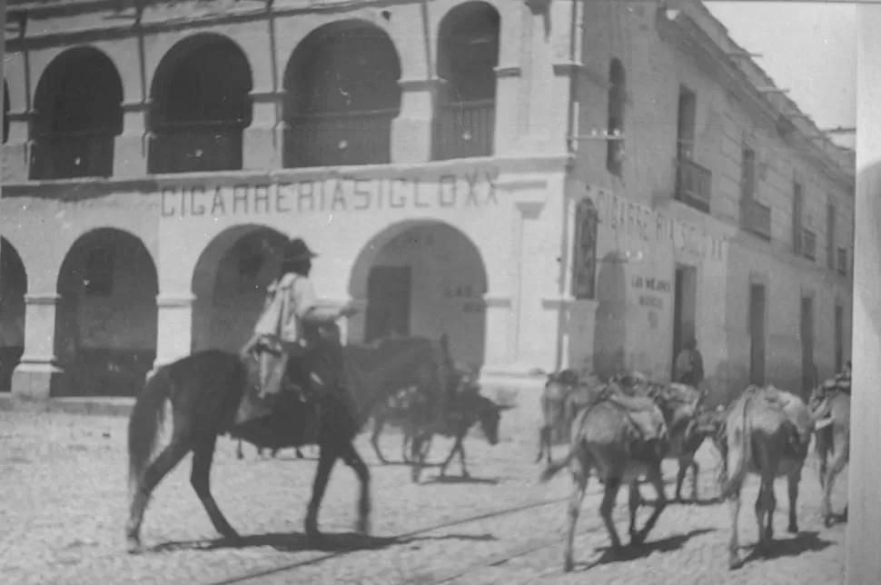 MULAS DE CARGA. Frente al Cabildo de Salta, las fotografió Eric von Rosen para su libro, de 1904, “Un mundo que se va”. 
