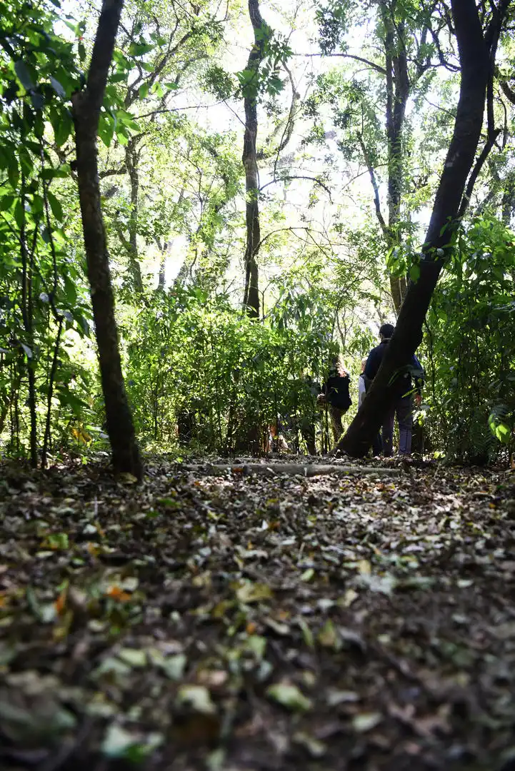  LA GACETA / ANALIA JARAMILLO 