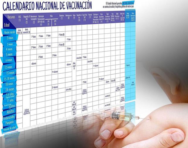 El Carnet De Vacunacion Podria Ser Tan Importante Como El Dni La Gaceta Tucuman