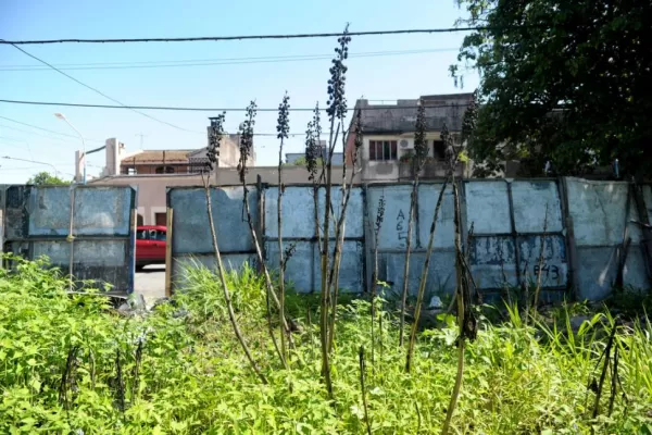 “El vecino prefiere pagar la multa a cortar el pasto” de su terreno baldío, según la municipalidad